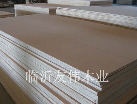 楊桉膠合板楊樹用來製造